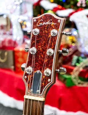 Godin Guitars - Radiator Electric Guitar - Trans Cream 2